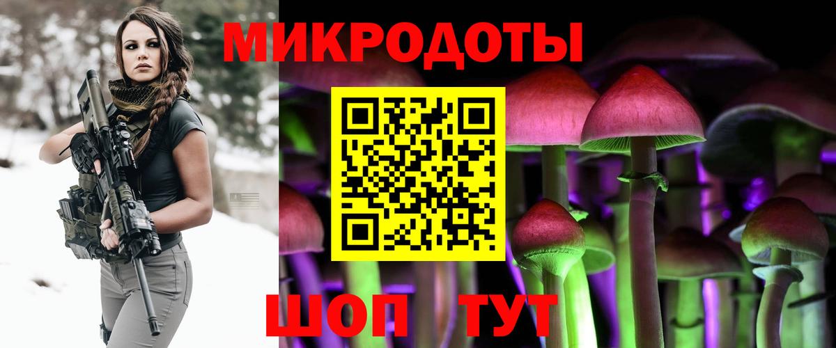 Псилоцибиновые грибы Psilocybe Дальнереченск